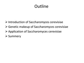 Outline
 Introduction of Saccharomyces cerevisiae
 Genetic makeup of Saccharomyces cerevisiae
 Application of Saccharomyces cerevisiae
 Summery
 