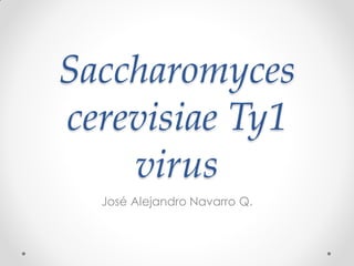 Saccharomyces
cerevisiae Ty1
    virus
  José Alejandro Navarro Q.
 