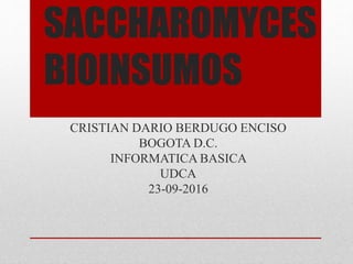 SACCHAROMYCES
BIOINSUMOS
CRISTIAN DARIO BERDUGO ENCISO
BOGOTA D.C.
INFORMATICA BASICA
UDCA
23-09-2016
 