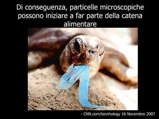 Di conseguenza, particelle microscopiche possono iniziare a far parte della catena alimentare - CNN.com/tecnhology  16 Novembre 2007 