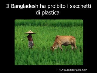 Il Bangladesh ha proibito i sacchetti di plastica  - MSNBC.com 8 Marzo 2007 