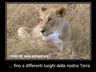 …  fino a differenti luoghi della nostra Terra 