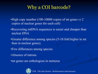 Saccone_barcode.ppt