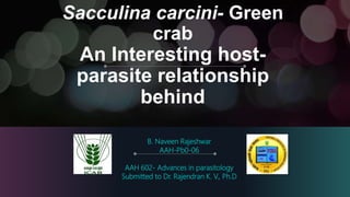 Sacculina carcini- Green
crab
An Interesting host-
parasite relationship
behind
B. Naveen Rajeshwar
AAH-Pb0-06
AAH 602- Advances in parasitology
Submitted to Dr. Rajendran K. V., Ph.D
 