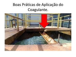 Boas Práticas de Aplicação do
Coagulante.
 