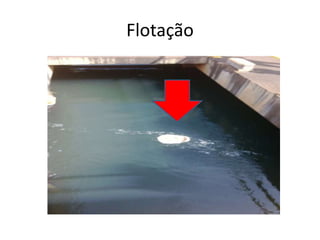 Flotação
 