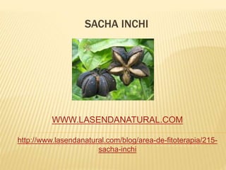 SACHA INCHI
WWW.LASENDANATURAL.COM
http://www.lasendanatural.com/blog/area-de-fitoterapia/215-
sacha-inchi
 