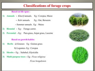 recent trends in forage production | PPTX
