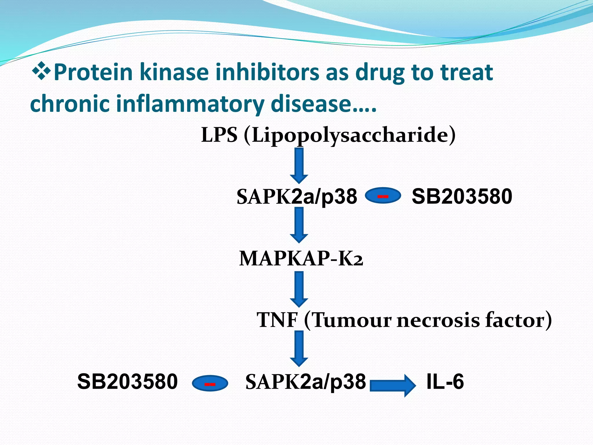 Protein kinase inhibitors as drug to treat
chronic inflammatory disease….
LPS (Lipopolysaccharide)
SAPK2a/p38 SB203580
MAPKAP-K2
TNF (Tumour necrosis factor)
SB203580 SAPK2a/p38 IL-6--
--
 