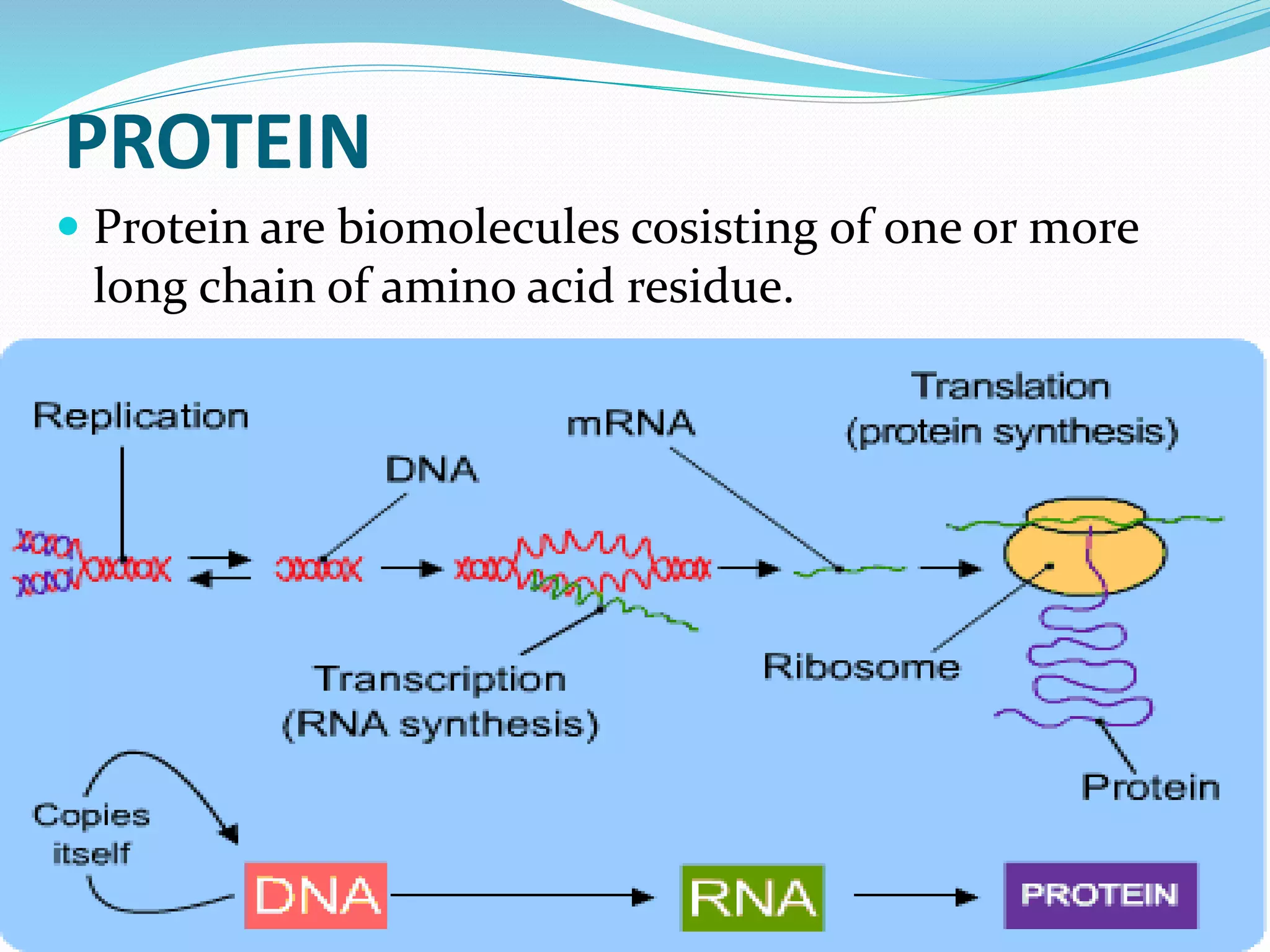 PROTEIN
 Protein are biomolecules cosisting of one or more
long chain of amino acid residue.
 