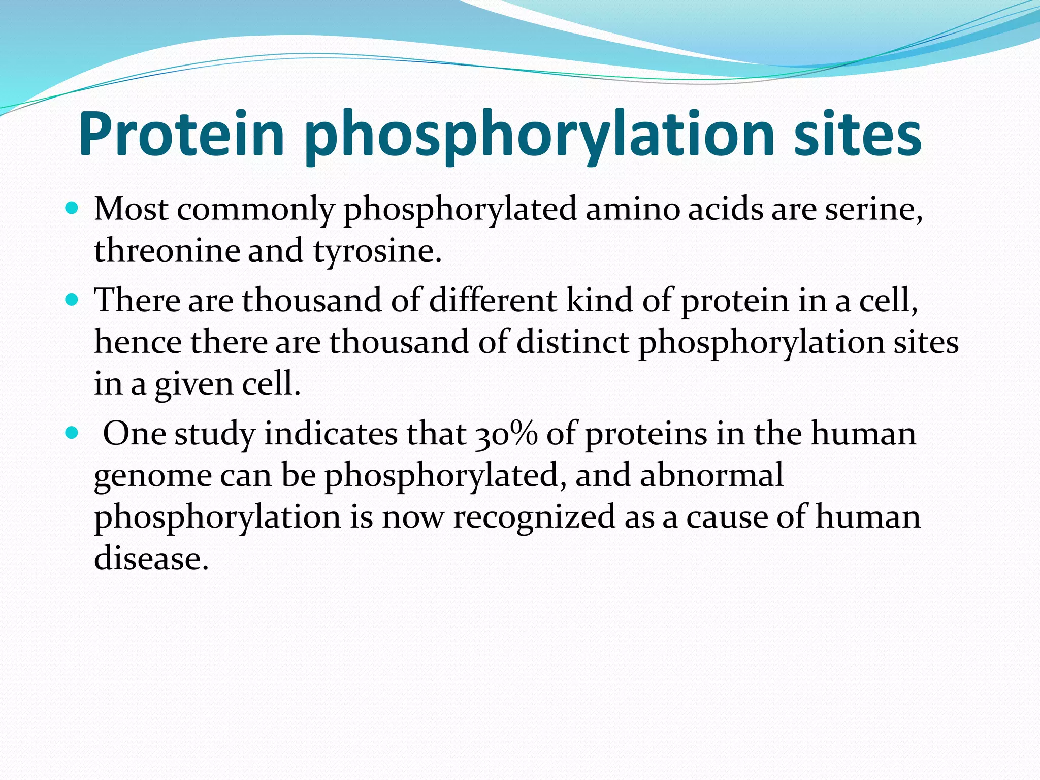 Protein phosphorylation sites
 Most commonly phosphorylated amino acids are
serine, threonine and tyrosine.
 There are thousand of different kind of protein in a
cell, hence there are thousand of distinct
phosphorylation sites in a given cell.
 One study indicates that 30% of proteins in the
human genome can be phosphorylated, and
abnormal
phosphorylation is now recognized as a cause of
human disease.
 