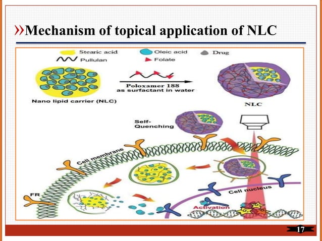 Nlc Types Nanostructured lipid carriers (NLC) | PPTX | Skin and Dermatology ...