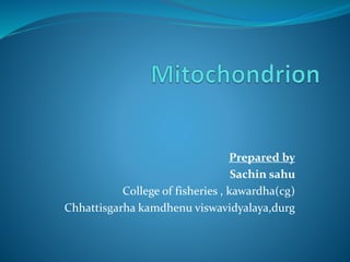 Prepared by
Sachin sahu
College of fisheries , kawardha(cg)
Chhattisgarha kamdhenu viswavidyalaya,durg
 