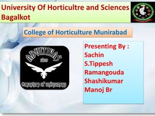 University Of Horticultre and Sciences
Bagalkot
College of Horticulture Munirabad
Presenting By :
Sachin
S.Tippesh
Ramangouda
Shashikumar
Manoj Br
 