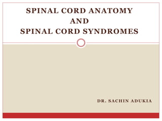 SPINAL CORD ANATOMY
AND
SPINAL CORD SYNDROMES
DR. SACHIN ADUKIA
 