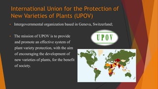 International Union for the Protection of
New Varieties of Plants (UPOV)
• Intergovernmental organization based in Geneva,...