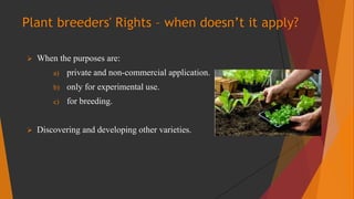 Plant breeders' Rights – when doesn’t it apply?
 When the purposes are:
a) private and non-commercial application.
b) onl...
