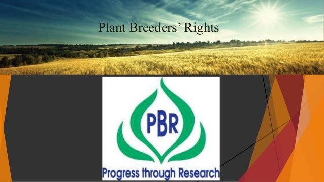 Plant Breeders Rights