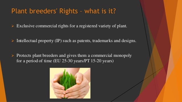 Plant Breeders Rights