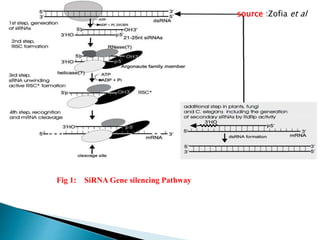RNA MEDIATED GENE SILENCING IN PLANT | PPTX