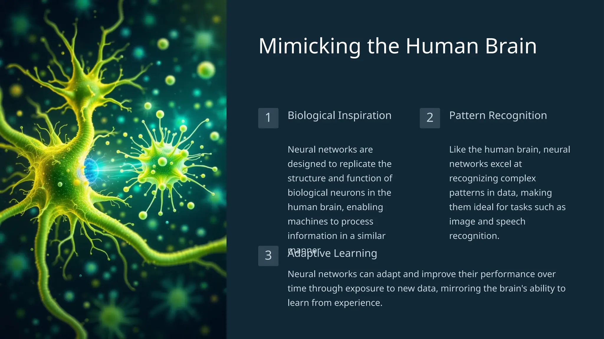 Mimicking the Human Brain
1 Biological Inspiration
Neural networks are
designed to replicate the
structure and function of
biological neurons in the
human brain, enabling
machines to process
information in a similar
manner.
2 Pattern Recognition
Like the human brain, neural
networks excel at
recognizing complex
patterns in data, making
them ideal for tasks such as
image and speech
recognition.
3 Adaptive Learning
Neural networks can adapt and improve their performance over
time through exposure to new data, mirroring the brain's ability to
learn from experience.
 
