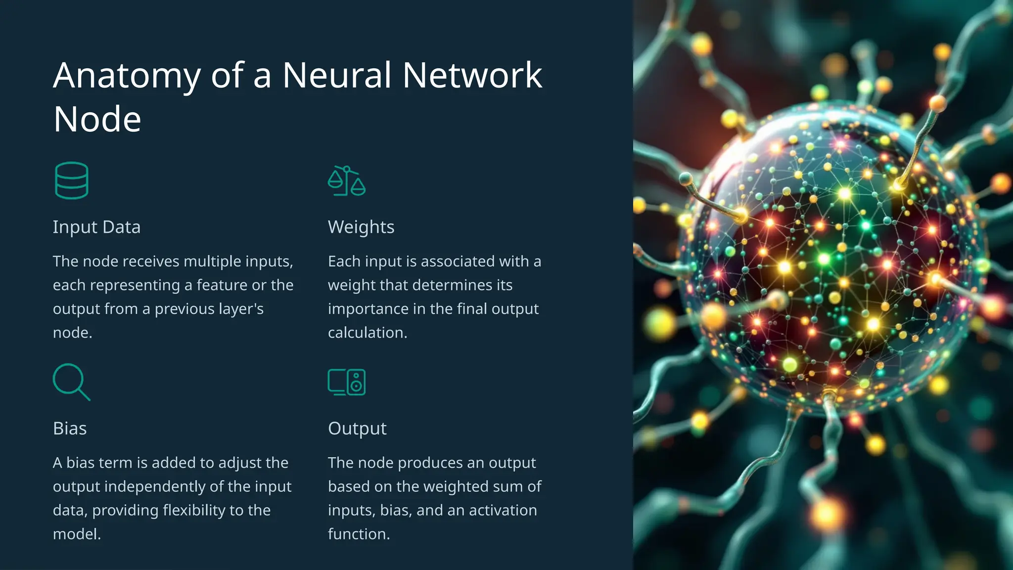Anatomy of a Neural Network
Node
Input Data
The node receives multiple inputs,
each representing a feature or the
output from a previous layer's
node.
Weights
Each input is associated with a
weight that determines its
importance in the final output
calculation.
Bias
A bias term is added to adjust the
output independently of the input
data, providing flexibility to the
model.
Output
The node produces an output
based on the weighted sum of
inputs, bias, and an activation
function.
 