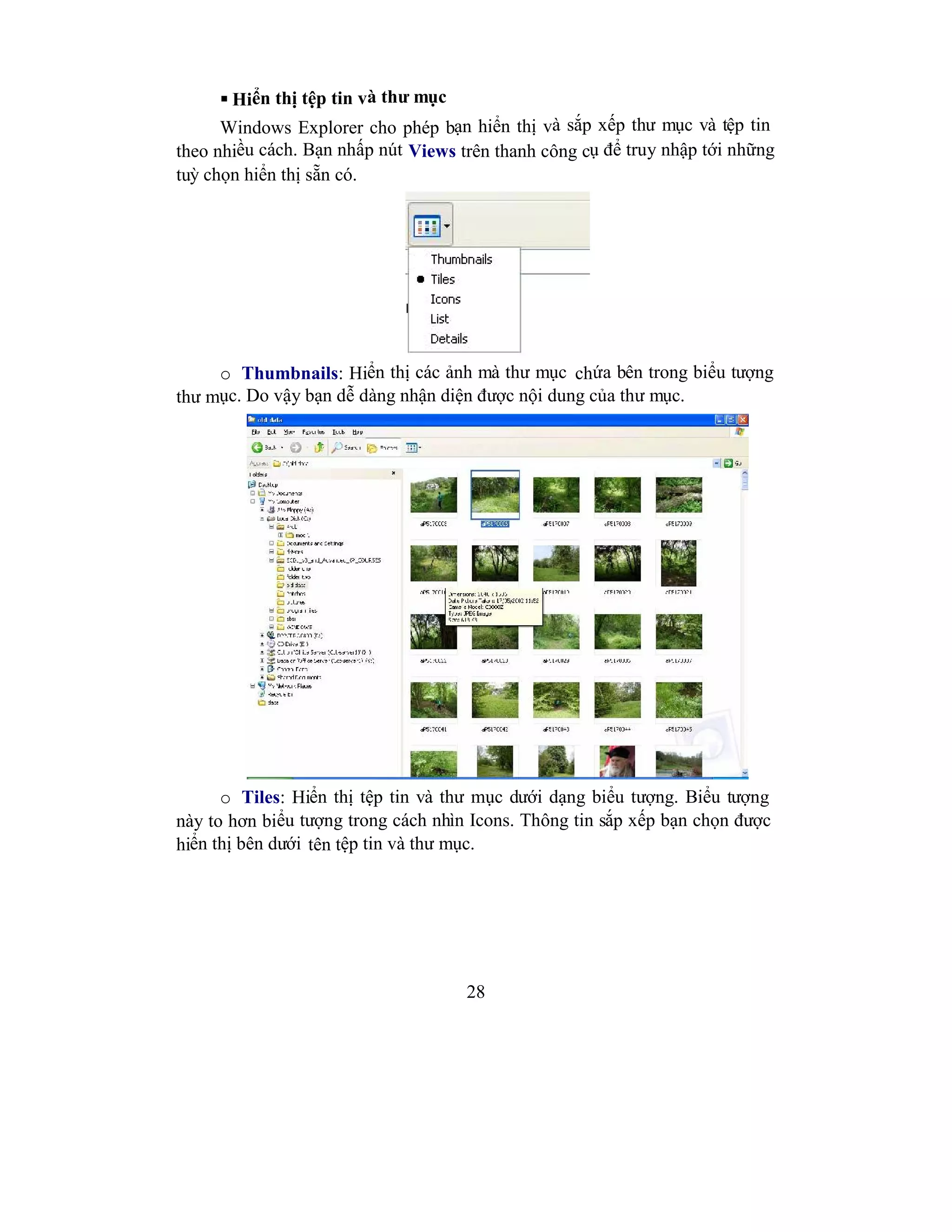 28
 Hiển thị tệp tin và thư mục
Windows Explorer cho phép bạn hiển thị và sắp xếp thư mục và tệp tin
theo nhiều cách. Bạn nhấp nút Views trên thanh công cụ để truy nhập tới những
tuỳ chọn hiển thị sẵn có.
o Thumbnails: Hiển thị các ảnh mà thư mục chứa bên trong biểu tượng
thư mục. Do vậy bạn dễ dàng nhận diện được nội dung của thư mục.
o Tiles: Hiển thị tệp tin và thư mục dưới dạng biểu tượng. Biểu tượng
này to hơn biểu tượng trong cách nhìn Icons. Thông tin sắp xếp bạn chọn được
hiển thị bên dưới tên tệp tin và thư mục.
 