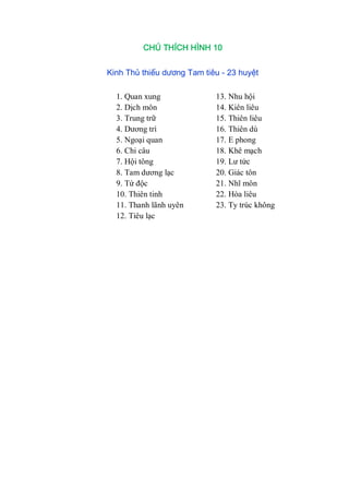 CHÚ THÍCH HÌNH 10
Kinh Thủ thiếu dương Tam tiêu - 23 huyệt
1. Quan xung 13. Nhu hội
2. Dịch môn 14. Kiên liêu
3. Trung trữ 15. Thiên liêu
4. Dƣơng trì 16. Thiên dù
5. Ngoại quan 17. E phong
6. Chi câu 18. Khê mạch
7. Hội tông 19. Lƣ tức
8. Tam dƣơng lạc 20. Giác tôn
9. Tứ độc 21. Nhĩ môn
10. Thiên tinh 22. Hòa liêu
11. Thanh lãnh uyên 23. Ty trúc không
12. Tiêu lạc
 