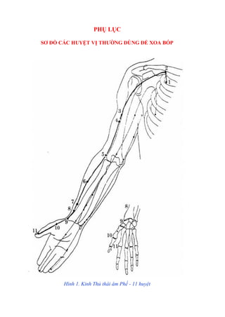 PHỤ LỤC
SƠ ĐỒ CÁC HUYỆT VỊ THƢỜNG DÙNG ĐỂ XOA BÓP
Hình 1. Kinh Thủ thái âm Phế - 11 huyệt
 