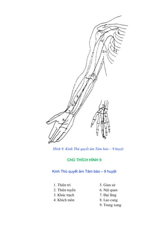 Hình 9. Kinh Thủ quyết âm Tâm bào – 9 huyệt
CHÚ THÍCH HÌNH 9
Kinh Thủ quyết âm Tâm bào – 9 huyệt
1. Thiên trì 5. Gian sử
2. Thiên tuyển 6. Nội quan
3. Khúc trạch 7. Đại lãng
4. Khích môn 8. Lao cung
9. Trung xung
 