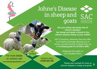 Premium
Sheep & Goat
Health Schemes
Please see overleaf for more on
Johne’s disease in sheep and goats
Are your sheep and goats free of
Johne’s disease?
Are sheep and goats a threat to the
Johne’s disease status of your cattle?
SAC Consulting: Veterinary Services offer
a competitive package allowing you to
screen a pooled sample of faeces from up
to 10 sheep/goats for £73.00 (+VAT).
Safeguard the health of
your valuable stock.
Johne’s Disease
in sheep and
goats
For more details
on Johne’s visit
www.sheepandgoathealth.co.uk
PSGHS office
01835 822 456
or
contact
 