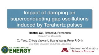 Impact of damping on
superconducting gap oscillations
induced by Terahertz pulses
Tianbai Cui, Rafael M. Fernandes
Iowa State University and Ames Laboratory
Xu Yang, Chirag Vaswani, Jigang Wang, Peter P. Orth
University of Minnesota
 