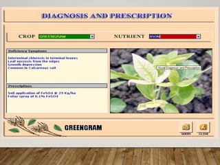 Soil Science Nutrient management  (1).pptx