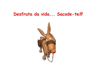 Desfruta da vida... Sacode-te !!!   