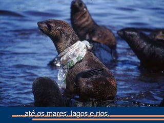 …  até os mares, lagos e rios. 