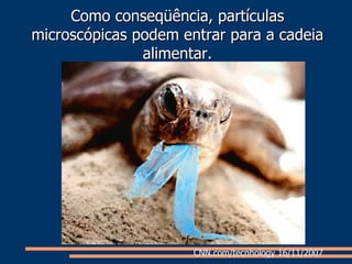 Como conseqüência, partículas microscópicas podem entrar para a cadeia alimentar. CNN.com/tecnhology 16/11/2007  