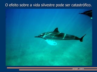 O efeito sobre a vida silvestre pode ser catastrófico. WWF 2005 