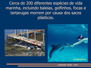 Cerca de 200 diferentes espécies de vida marinha, incluindo baleias, golfinhos, focas e tartarugas morrem por causa dos sacos plásticos. - Reporte WWF 2005 