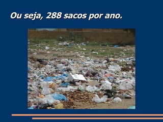 Ou seja, 288 sacos por ano. 