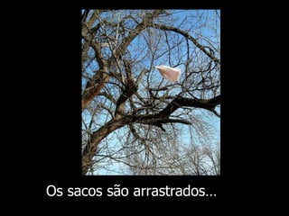 Os sacos são arrastrados … 
