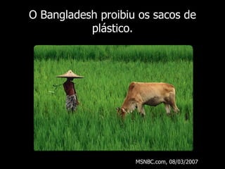 O Bangladesh proibiu os sacos de plástico . MSNBC.com, 08/03/2007 