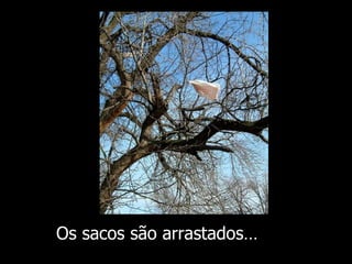 Os sacos são arrastados … 