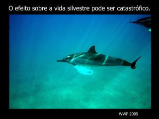 O efeito sobre a vida silvestre pode ser catastrófico.




                                         WWF 2005
 