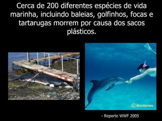 Cerca de 200 diferentes espécies de vida
marinha, incluindo baleias, golfinhos, focas e
  tartarugas morrem por causa dos sacos
                  plásticos.




                             - Reporte WWF 2005
 