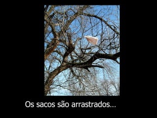 Os sacos são arrastrados … 