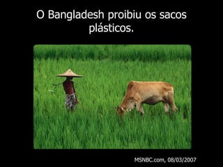 O Bangladesh proibiu os sacos plásticos . MSNBC.com, 08/03/2007 