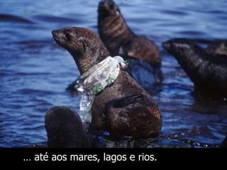 …  até aos mares, lagos e rios. 