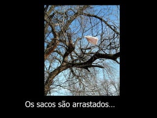 Os sacos são arrastados … 