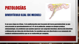 PATOLOGÍAS
DIVERTÍCULO ILEAL (DE MECKEL)
Es un saco ciego en el íleon. Es la malformación más frecuente del tracto gastrointestinal, ya que
esta presente en aproximadamente un 2-4% de la población, aunque no siempre produce
sintomatología. Los problemas que pueden aparecer son sangrado intestinal, obstrucción intestinal,
o inflamación por infección del divertículo. Se considera que este divertículo es un remanente del
conducto onfalomesentérico que no se reabsorbió por completo.

 