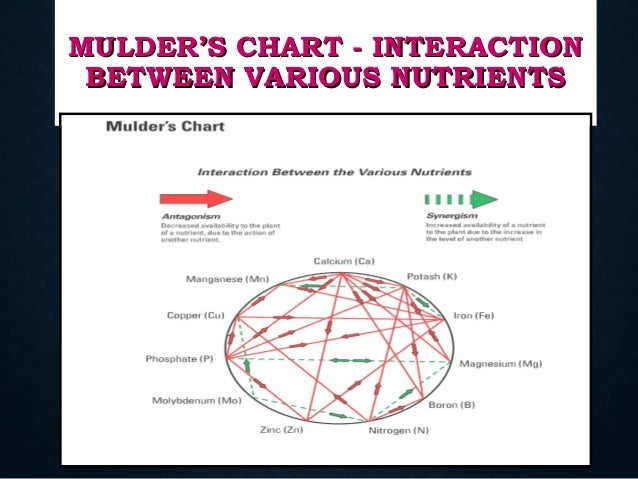 Mulder S Chart Of Nutrient Interaction